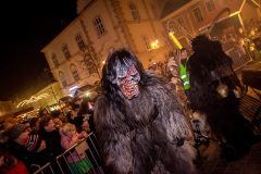 Photo by Sascha Fiala