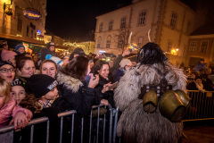 Photo by Sascha Fiala