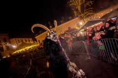 Photo by Sascha Fiala