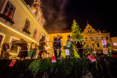 Photo by Sascha Fiala