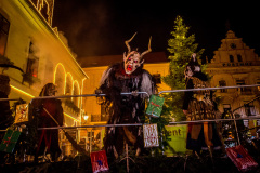 Photo by Sascha Fiala