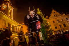 Photo by Sascha Fiala