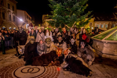 Photo by Sascha Fiala