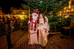 Photo by Sascha Fiala