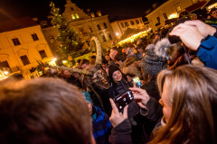 Photo by Sascha Fiala