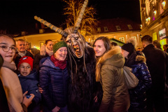 Photo by Sascha Fiala