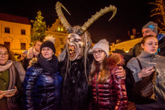 Photo by Sascha Fiala