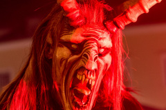 Photo by Sascha Fiala