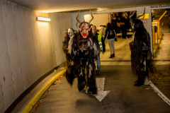 Photo by Sascha Fiala