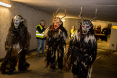 Photo by Sascha Fiala