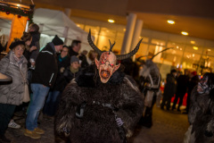 Photo by Sascha Fiala