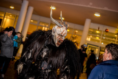 Photo by Sascha Fiala