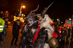 Photo by Sascha Fiala