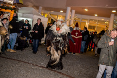 Photo by Sascha Fiala