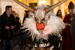 Photo by Sascha Fiala