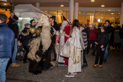 Photo by Sascha Fiala