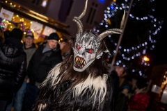 Photo by Sascha Fiala