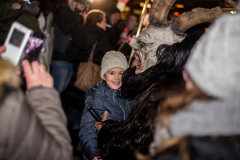 Photo by Sascha Fiala