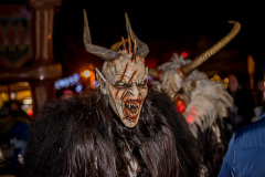 Photo by Sascha Fiala