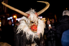 Photo by Sascha Fiala