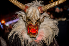 Photo by Sascha Fiala