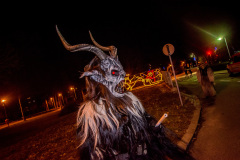 Photo by Sascha Fiala