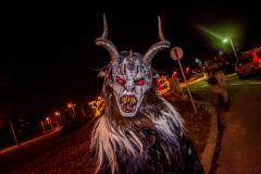 Photo by Sascha Fiala