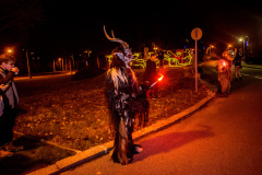 Photo by Sascha Fiala