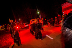 Photo by Sascha Fiala