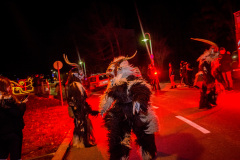 Photo by Sascha Fiala