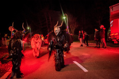 Photo by Sascha Fiala