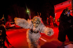 Photo by Sascha Fiala