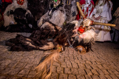 Photo by Sascha Fiala