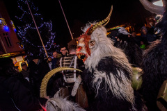 Photo by Sascha Fiala