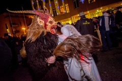 Photo by Sascha Fiala