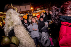 Photo by Sascha Fiala