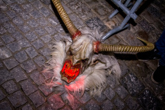 Photo by Sascha Fiala