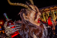 Photo by Sascha Fiala