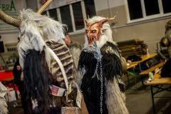 Photo by Sascha Fiala