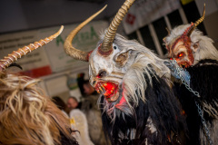 Photo by Sascha Fiala