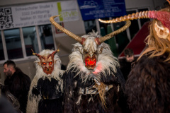 Photo by Sascha Fiala