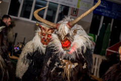 Photo by Sascha Fiala