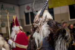 Photo by Sascha Fiala