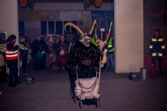 Photo by Sascha Fiala