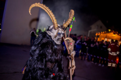 Photo by Sascha Fiala