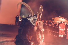 Photo by Sascha Fiala