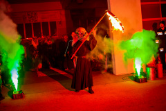 Photo by Sascha Fiala