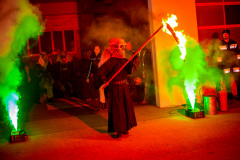 Photo by Sascha Fiala