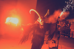 Photo by Sascha Fiala