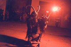 Photo by Sascha Fiala